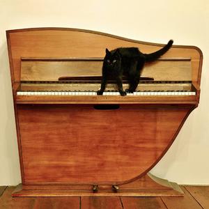 泰国成人做爰A片
