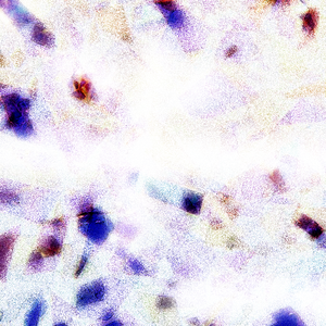 泰国成人做爰A片
